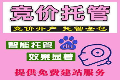 某品牌SEM运营托管的ROI提升之路